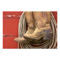 USA, Oregon, Seneca, Ponderosa Ranch. Close-up