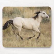 USA, Oregon, Seneca, Ponderosa Ranch. Horse Mousepad