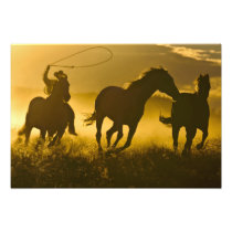 USA, Oregon, Seneca, Ponderosa Ranch.