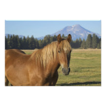 USA, Oregon, Sisters, view of Three Sisters, Art Photo