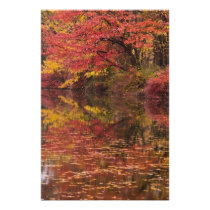 USA, Pennsylvania, Delaware Water Gap National 2