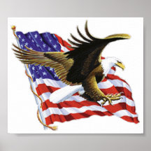 USA POSTER