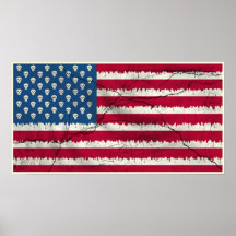 USA skulls flag Poster