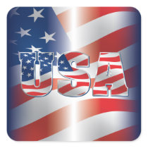USA Sticker