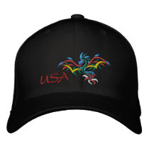 USA SUN  DRAGON