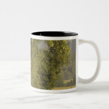 USA, Tennessee, Great Smoky Mountains National 2 Coffee Mug