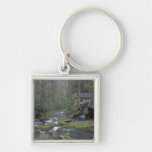 USA, Tennessee, Great Smoky Mountains National 3 Keychain