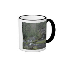 USA, Tennessee, Great Smoky Mountains National 3 Mug