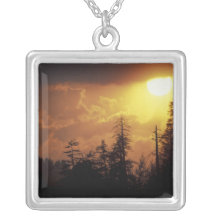 USA, Tennessee, Great Smoky Mountains NP. 2 Necklace
