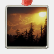 USA, Tennessee, Great Smoky Mountains NP. 2 Christmas Tree Ornament