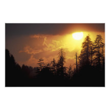 USA, Tennessee, Great Smoky Mountains NP. 2 Photograph