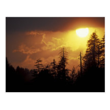 USA, Tennessee, Great Smoky Mountains NP. 2 Postcard