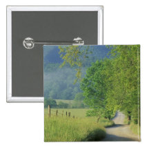 USA, Tennessee, Great Smoky Mountains NP, Buttons