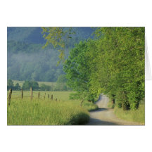 USA, Tennessee, Great Smoky Mountains NP, Cards