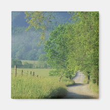USA, Tennessee, Great Smoky Mountains NP, Fridge Magnets