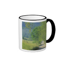 USA, Tennessee, Great Smoky Mountains NP, Mug