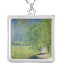 USA, Tennessee, Great Smoky Mountains NP, Pendant