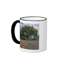USA, Texas, Marble Falls Paintbrush and Mug