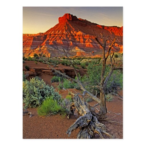 USA, Utah. Paria Canyon sandstone formation at Postcards