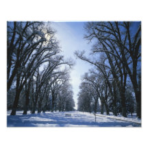 USA, Utah, Salt Lake City, Liberty Park, Photo
