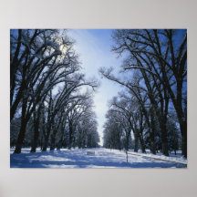 USA, Utah, Salt Lake City, Liberty Park, Print