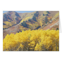 USA, Utah, Wasatch-Cache National Forest, Greeting Card