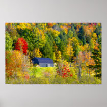 USA, Vermont. Fall foilage along Highway 100.