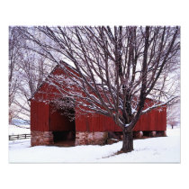 USA, Virginia, Fairfax County, Barn and Maple
