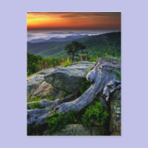 USA, Virginia, Shenandoah National Park. postcards