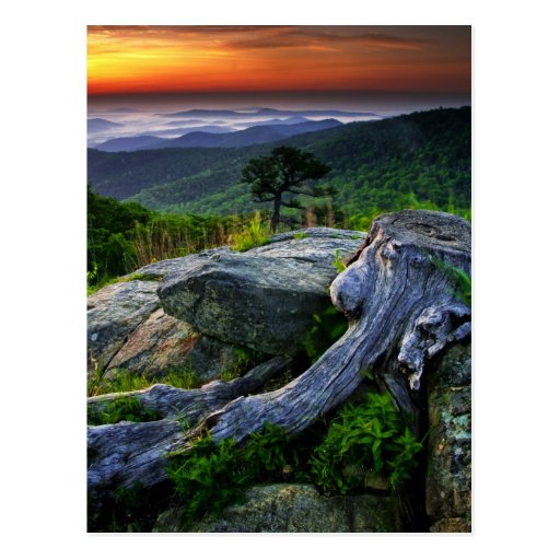 USA, Virginia, Shenandoah National Park. Postcard