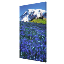 USA, Washington, Mt. Rainier National Park. Mt. Canvas Prints