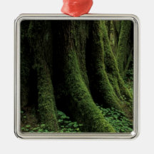 USA, Washington, Olympic National Park, 2 Christmas Ornament