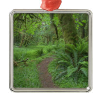 USA, Washington, Olympic National Park, Ornament