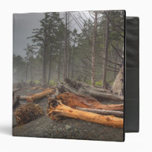 USA, Washington, Olympic National Park, Rialto Binder