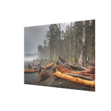 USA, Washington, Olympic National Park, Rialto Stretched Canvas Prints