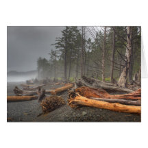 USA, Washington, Olympic National Park, Rialto Greeting Cards