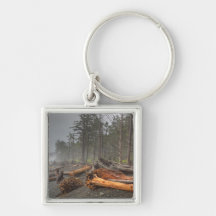 USA, Washington, Olympic National Park, Rialto Keychain