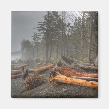 USA, Washington, Olympic National Park, Rialto Refrigerator Magnet
