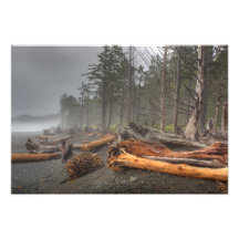 USA, Washington, Olympic National Park, Rialto Art Photo