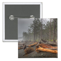 USA, Washington, Olympic National Park, Rialto Pin