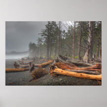 USA, Washington, Olympic National Park, Rialto Posters