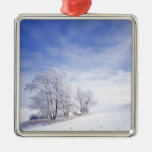 USA, Washington, Palouse Area, Frosted Black Ornaments
