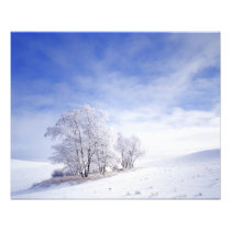 USA, Washington, Palouse Area, Frosted Black