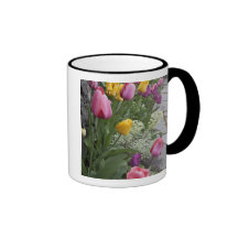 USA, Washington, Seabeck. Tulips line garden Mugs
