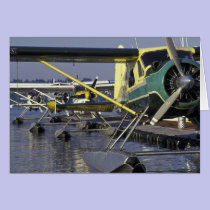 USA, Washington, Seattle, Seaplanes docked on cards