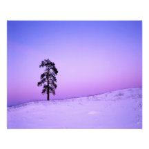 USA, Washington, Spokane County, Riverside Photograph
