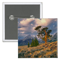 USA, Wyoming, Grand Teton NP. Sunrise greets a Pinback Button
