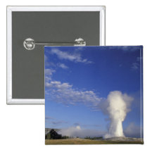 USA, Wyoming. Yellowstone National Park. Old Pin