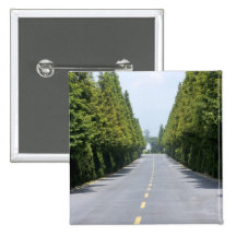 USA, Yellowstone National Park, Treelined road Button