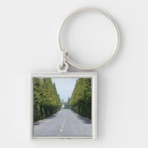 USA, Yellowstone National Park, Treelined road Keychain